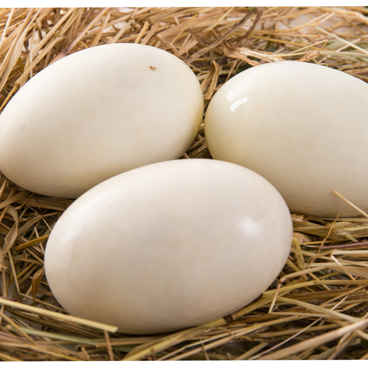 白洋淀咸鸭蛋